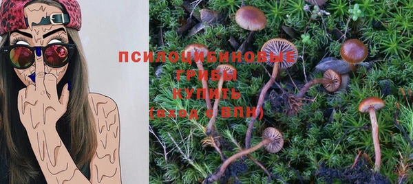 героин Новодвинск