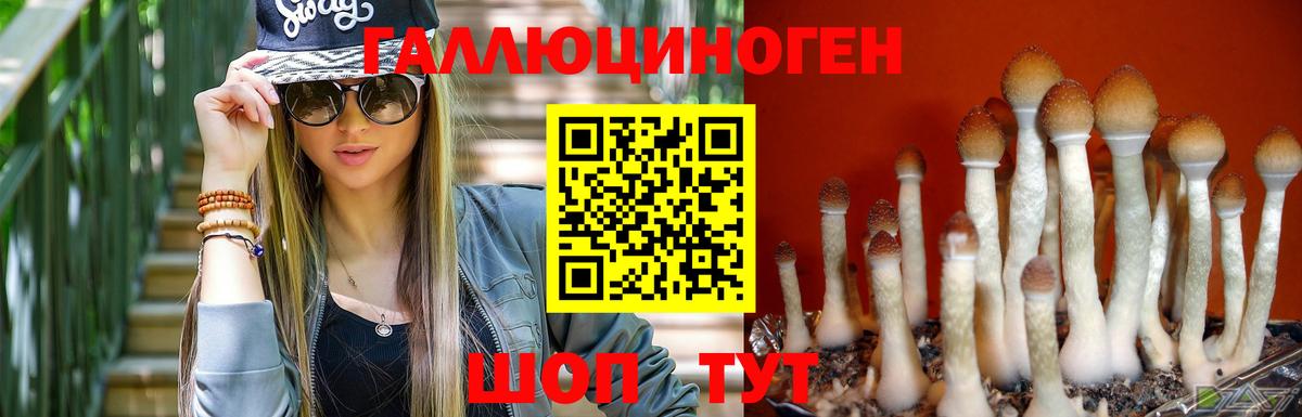 дарнет шоп  Волжский  Псилоцибиновые грибы прущие грибы 